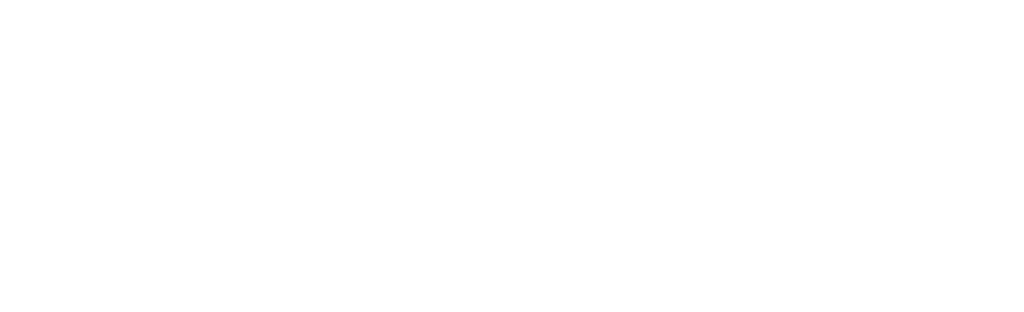 logo nur schriftzug v2